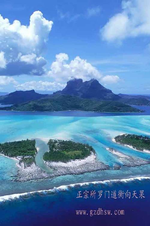 道衡向天果,正宗所罗门向天果如何缓解三高_频