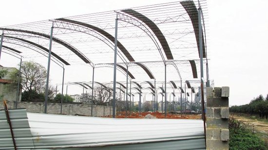 万平方米钢架棚违建 查封后主人终露面