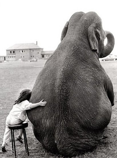 【今日侃房014期】 李白在唐朝时就已认定了德