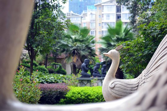 若心有林夕 麻雀成凤金鳞化龙 _频道-柳州