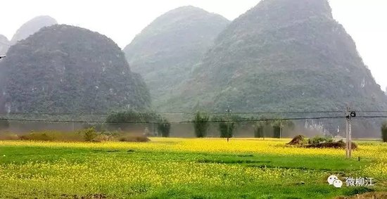 兰底镇人口_平度市兰底镇村庄地图(2)