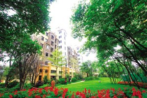 香颂大道:举办理财讲座 品质生活从这里开始_