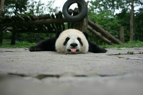 【今日侃房014期】 李白在唐朝时就已认定了德