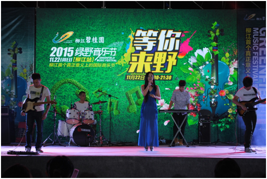 绿野音乐节【柳江碧桂园】站,万人空巷嗨翻全城!_频道-柳州_腾讯网