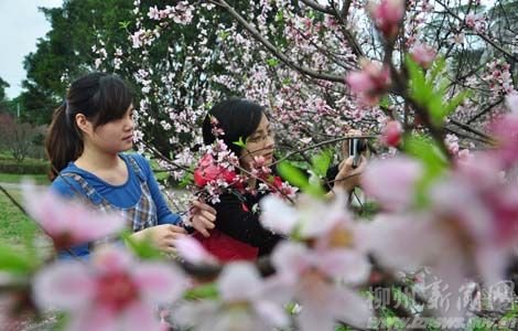 柳州学生鸡qq