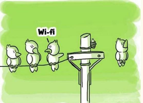 wifi到底有没有辐射_大辽网_腾讯网