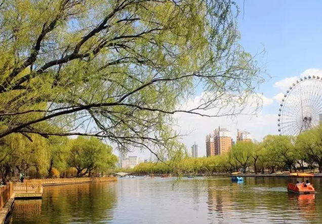 不单拥有粗犷， 大沈阳之水灵让江南人都惊呆了！