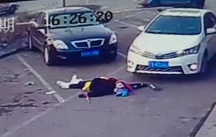 最任性碰瓷女穿貂躺地1小时\/