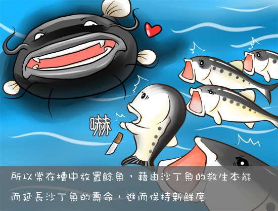 英语热词:各式各样的效应该怎么表达?