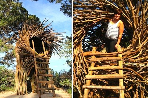 别样的树屋:可以住人的鸟巢