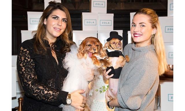 时尚界狗狗的壕气婚礼