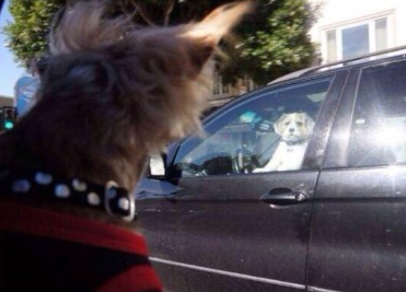 【大辽哥说】亲们收衣服喽,台风说来就来啊_大辽网_腾讯网