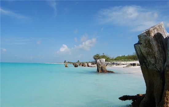 海岛排行_《和平精英》海岛最高的地方怎么样海岛最高的地方排名