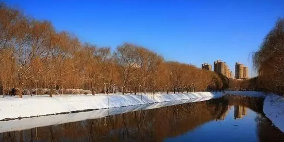 不单拥有粗犷， 大沈阳之水灵让江南人都惊呆了！