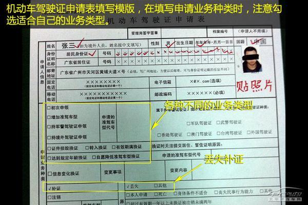 驾驶证丢了怎么办?直接补办不需挂失