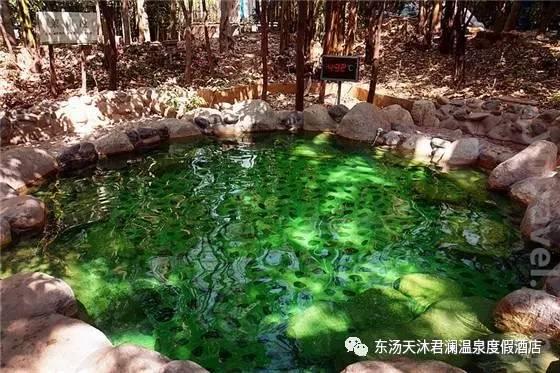 夏季养生--东汤天沐君澜温泉度假酒店_大辽网_腾讯网