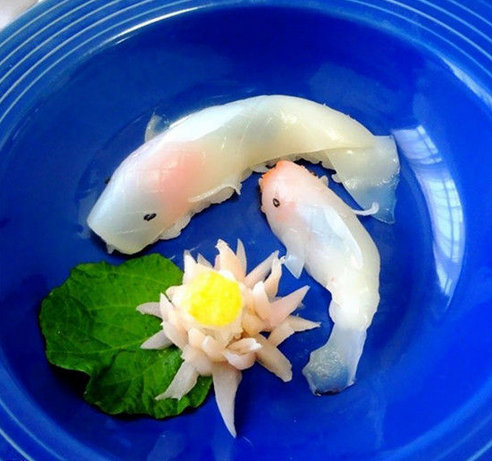 猫看了都把持不住 教你制作锦鲤寿司