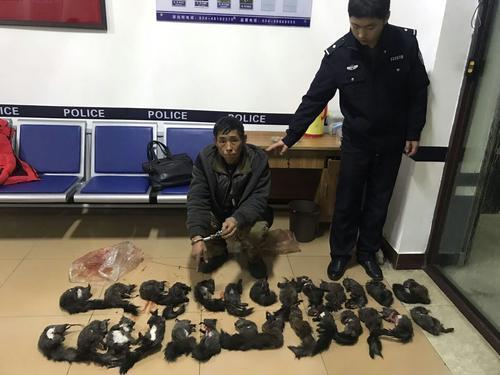 男子非法造枪 上山专打灰松鼠
