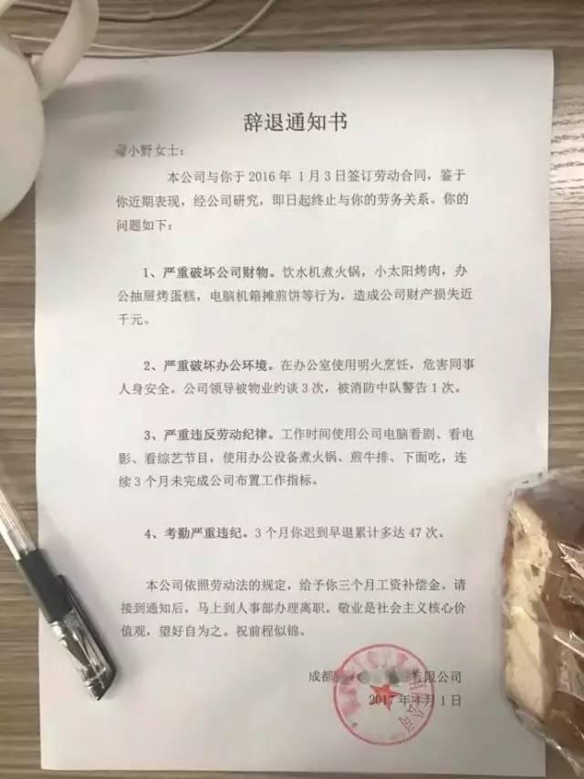 办公室煮火锅、织方便面、蒸包 脑洞少女3个月