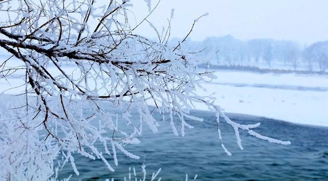 现实版"冰雪奇缘" 零下58℃河水不结冰