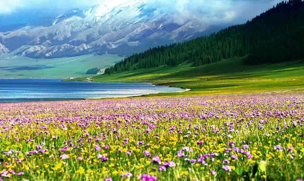 机票580就能去新疆玩一趟 春天比秋天更让人念念不忘