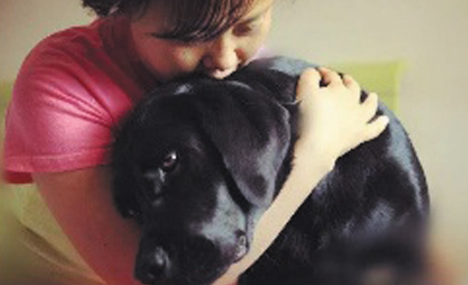 导盲犬珍妮退役 从北京回大连