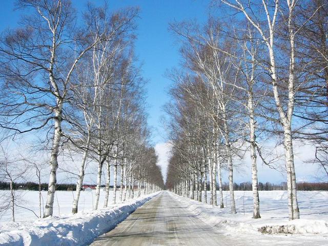 十胜不只有温泉 享受魄力的热气球和雪上摩托吧