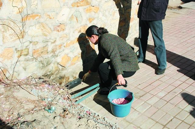 投药灭鼠行动全面启动 误食鼠药需注射维生素