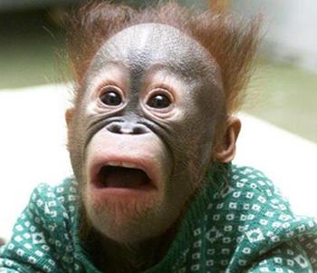 [大辽哥说]香水有毒?2岁娃闻过竟然患哮喘!