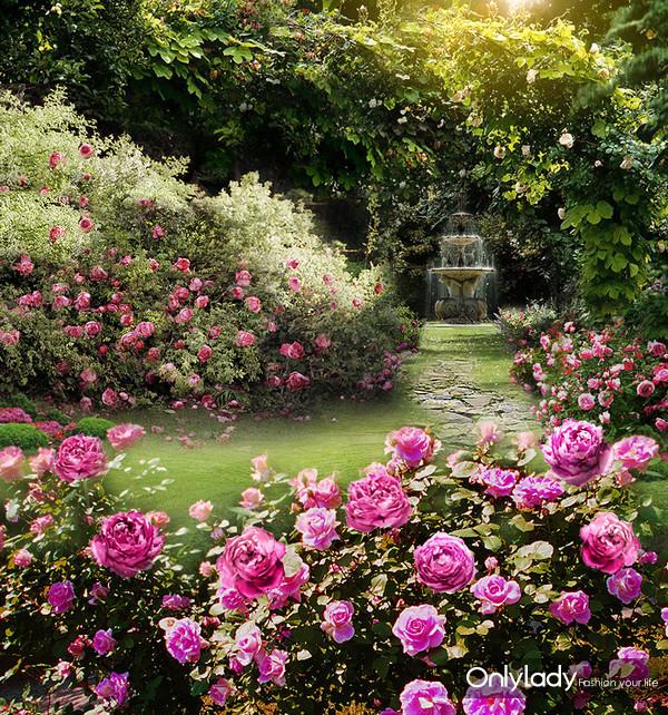 成人视频电影网ogsytfgmypacn高清图片