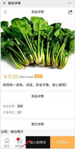 站前区平价蔬菜供应线上平台解民忧