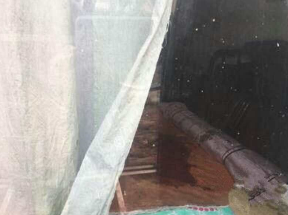 �ɷ�����ɱ������ 15��Ů��Ŀ�������������� 