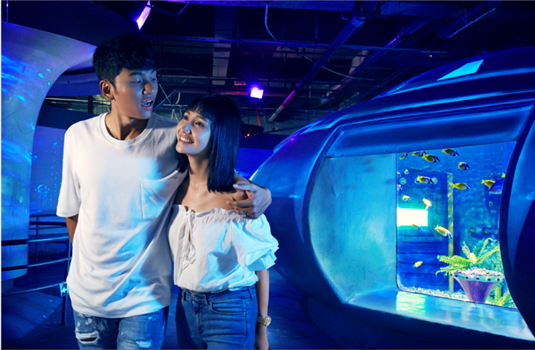 带着童心趣玩大连圣亚海洋世界
