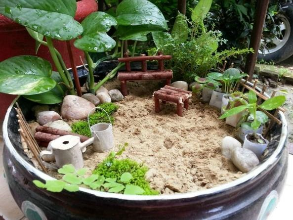 DIY迷你微花园 手把手教你微景观制作