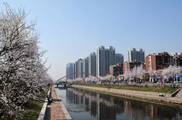 不单拥有粗犷， 大沈阳之水灵让江南人都惊呆了！