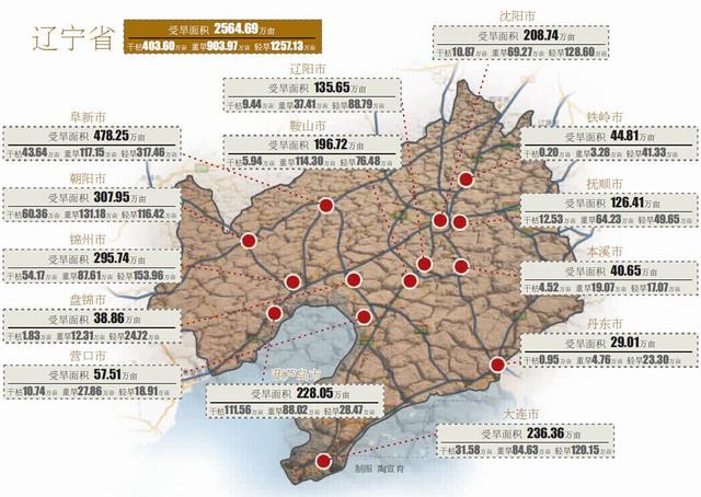 沈阳持续23天无有效降雨 受旱面积达208.74万亩