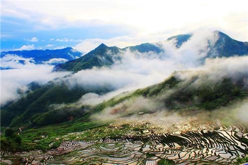 尤溪联合梯田