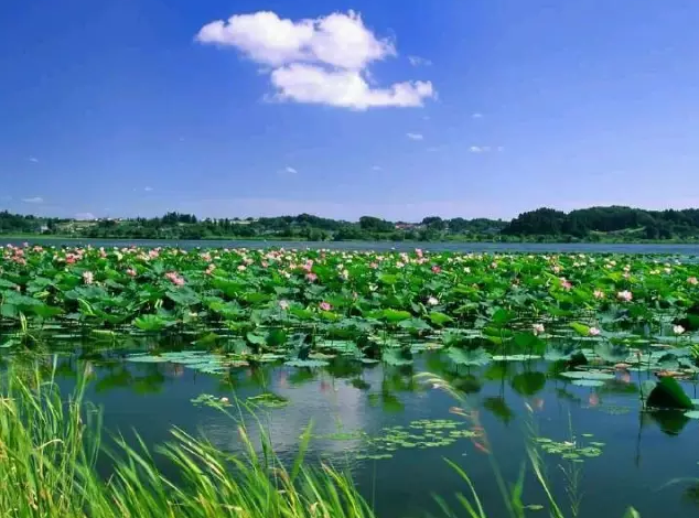 不单拥有粗犷， 大沈阳之水灵让江南人都惊呆了！