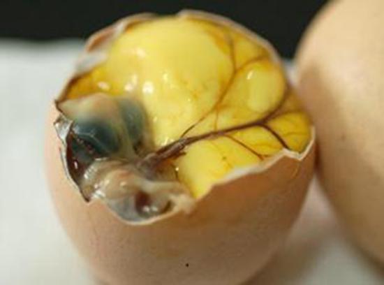 这些美食细菌无数 你却一无所知_大辽网_腾讯网