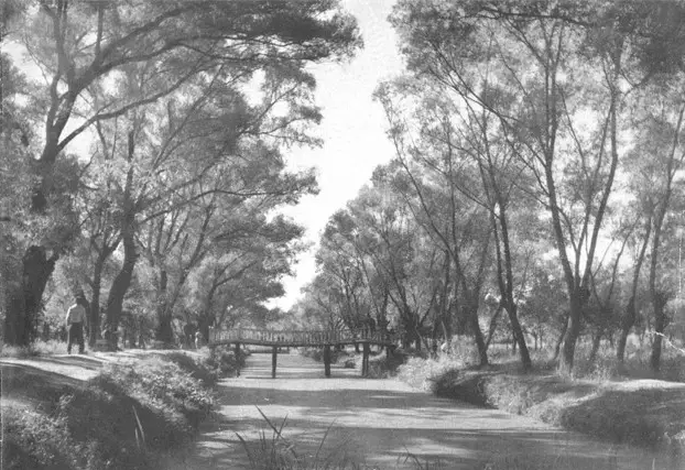 不单拥有粗犷， 大沈阳之水灵让江南人都惊呆了！