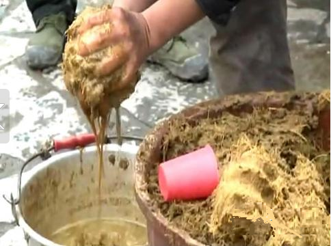 民间各类奇葩美食 口味太重小清新慎入