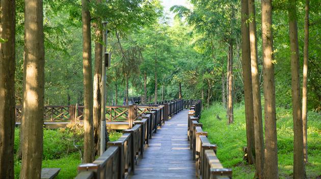 2019光州FINA世界游泳锦标赛旅游推介会在沈