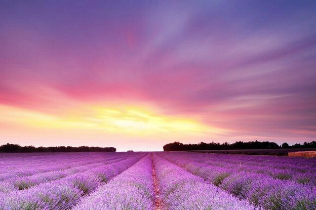 火热七月 国外旅游地推荐