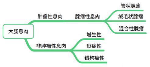 长了大肠息肉 意味着离大肠癌不远了?