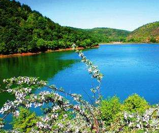 危险化学品运输车辆禁止穿行饮用水水源一级保