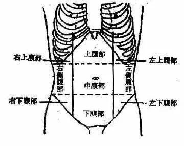 2,左下腹(左髂:乙状结肠,女性的左侧卵及输卵管,淋巴结.