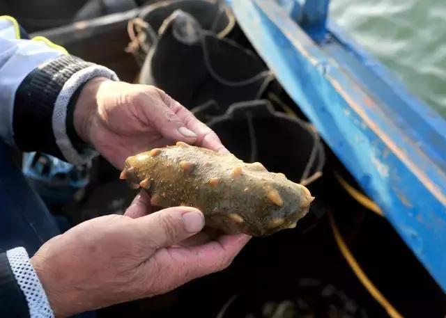 9月 跟我一起去大连蚂蚁岛纵情海天吧!