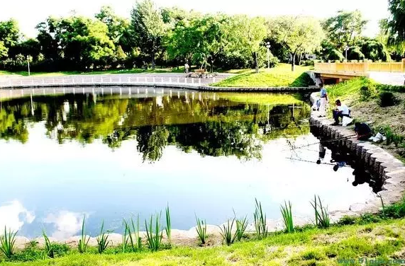 不单拥有粗犷， 大沈阳之水灵让江南人都惊呆了！