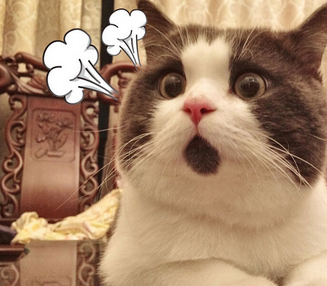 【大辽哥说】新教室辣眼睛,还是别开学了!