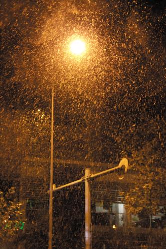 雪花漫天飞舞,把外面映衬得很是浪漫.